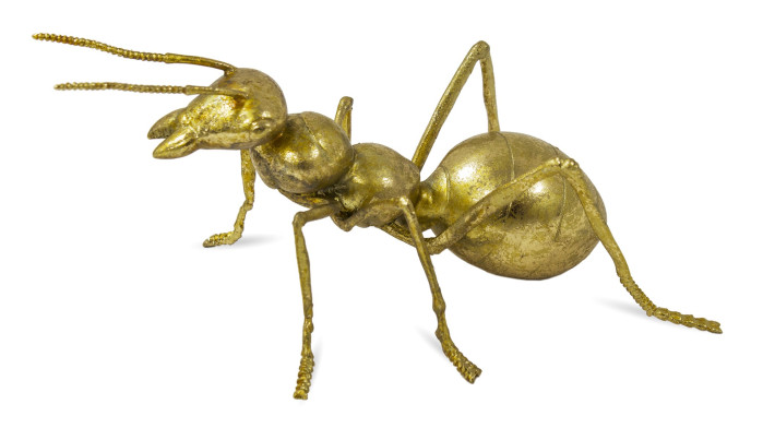 detail Zlatý mravenec GD DESIGN