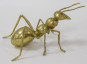 náhled Zlatý mravenec GD DESIGN