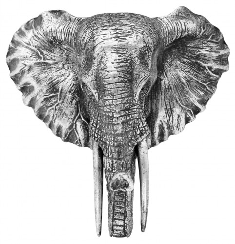 Hlava slona nástěnná