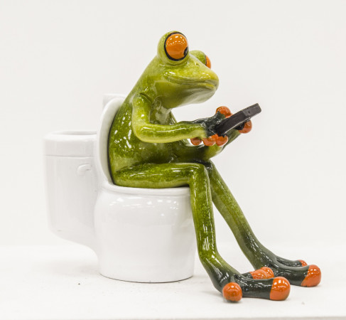 detail Figurka žába na záchodě GD DESIGN