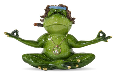 Meditující žabák