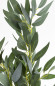 náhled Dekorační větvička s olivovými listy GD DESIGN