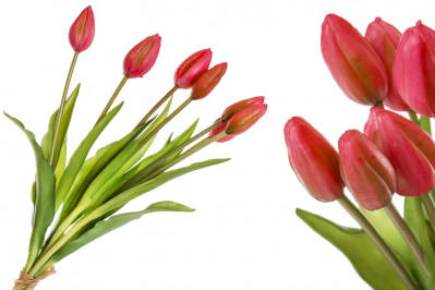 Kytice červených tulipánů