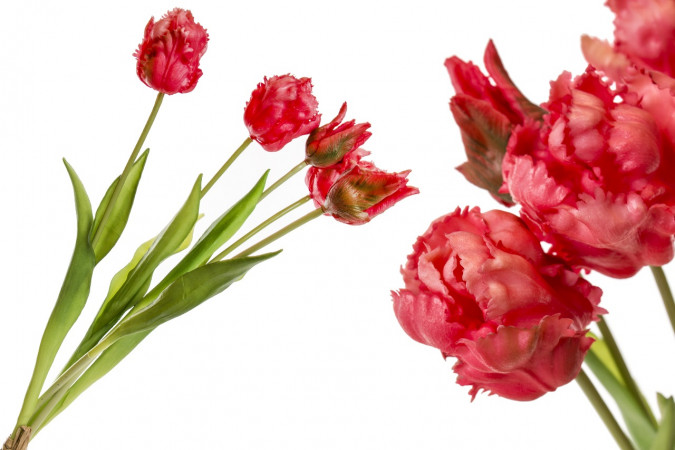 detail Kytice tulipánů GD DESIGN