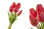 náhled Kytice umělých tulipánů malá GD DESIGN
