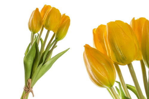 Kytice žlutých tulipánů malá