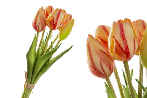 Tulipány kytice malá