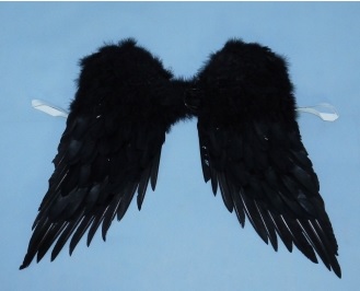 Černá křídla na pověšení velká