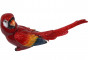 náhled Červený papoušek GD DESIGN