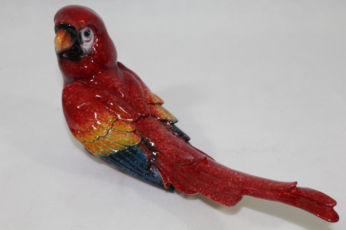 detail Červený papoušek GD DESIGN