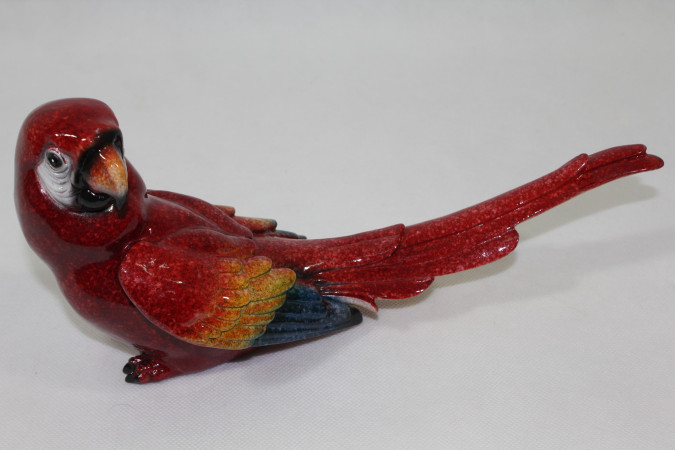 detail Červený papoušek GD DESIGN