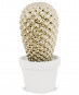 náhled Zlatý keramický kaktus GD DESIGN