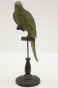 náhled Figurka zelený papoušek GD DESIGN