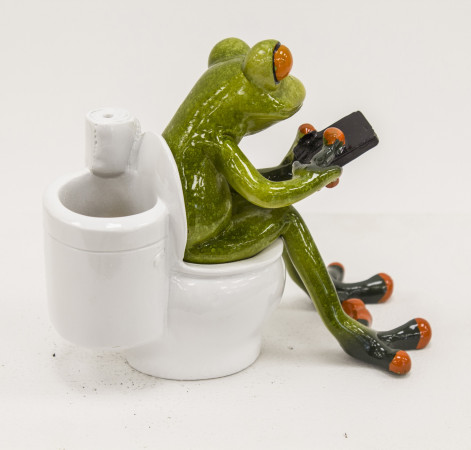 detail Figurka žába na záchodě GD DESIGN