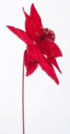 detail Červená vánoční hvězda s pestíky GD DESIGN