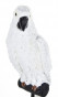 náhled Figurka bílý papoušek malý GD DESIGN