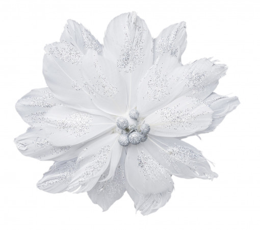 detail Bílý květ vánoční hvězdy GD DESIGN
