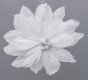 náhled Bílý květ vánoční hvězdy GD DESIGN