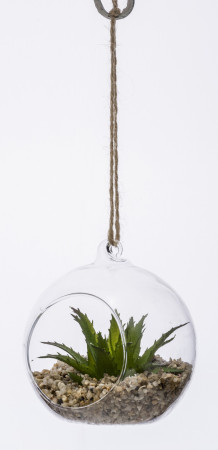 detail Okrasná rostlina ve skle GD DESIGN