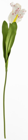 detail Umělý bílý tulipán s barevnými detaily GD DESIGN