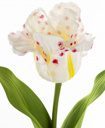detail Umělý bílý tulipán s barevnými detaily GD DESIGN
