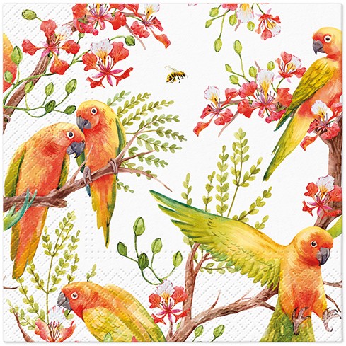 Ubrousky s barevnými papoušky